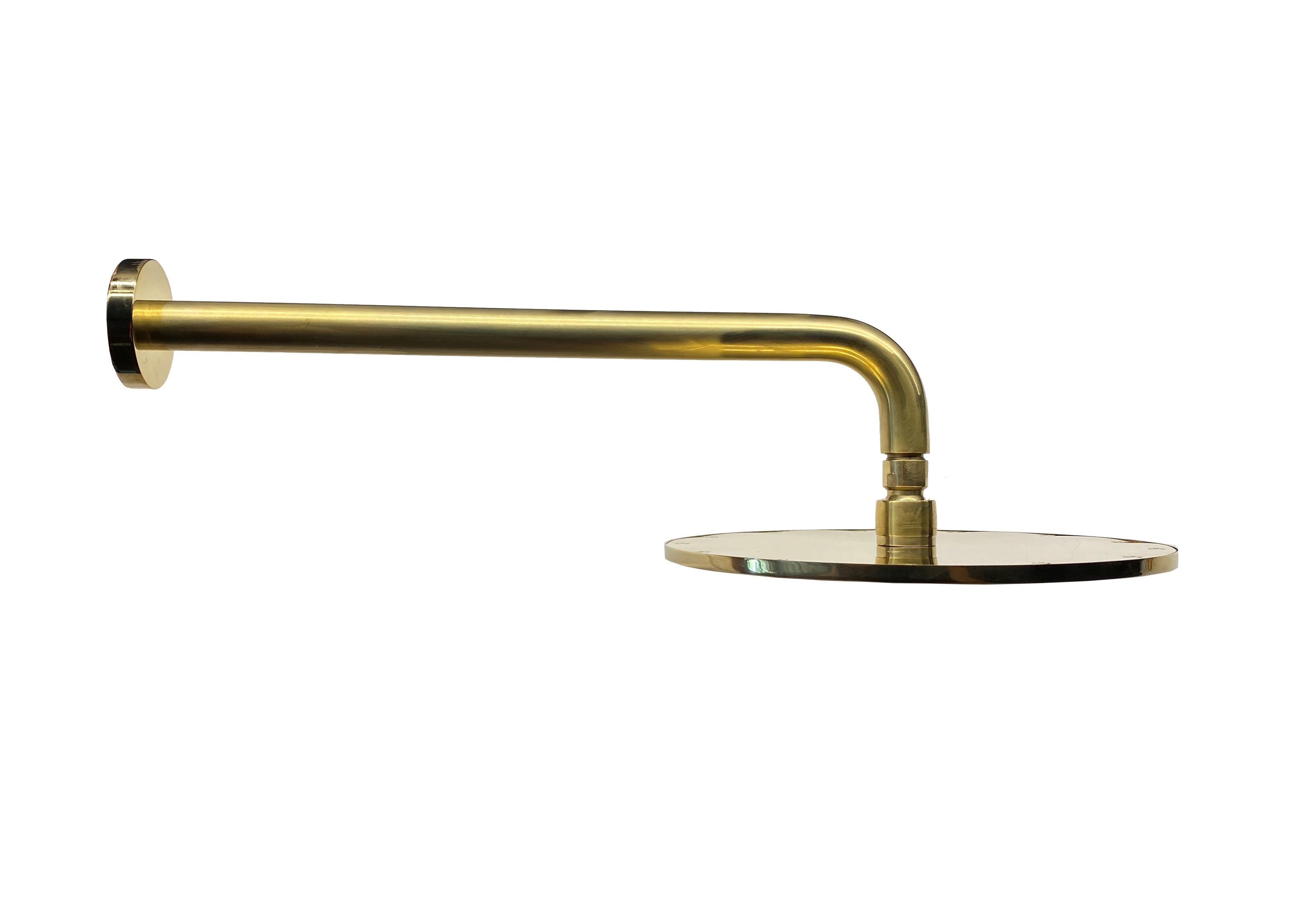 Daintree Shower Arm Round in Raw Brass