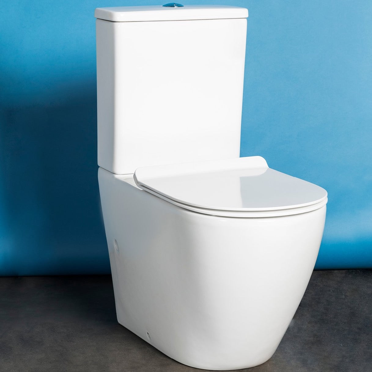 The Hillier Rimless Wall-Faced Two-Piece Toilet