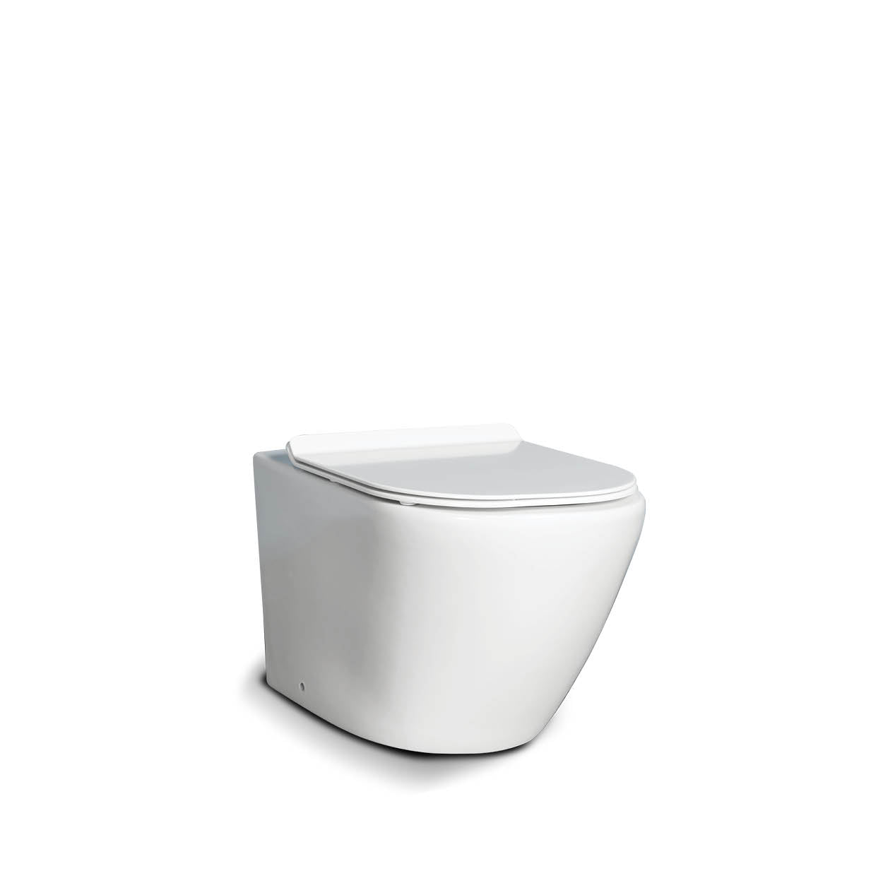 The Hillier Rimless Wall-Hung Toilet (U)