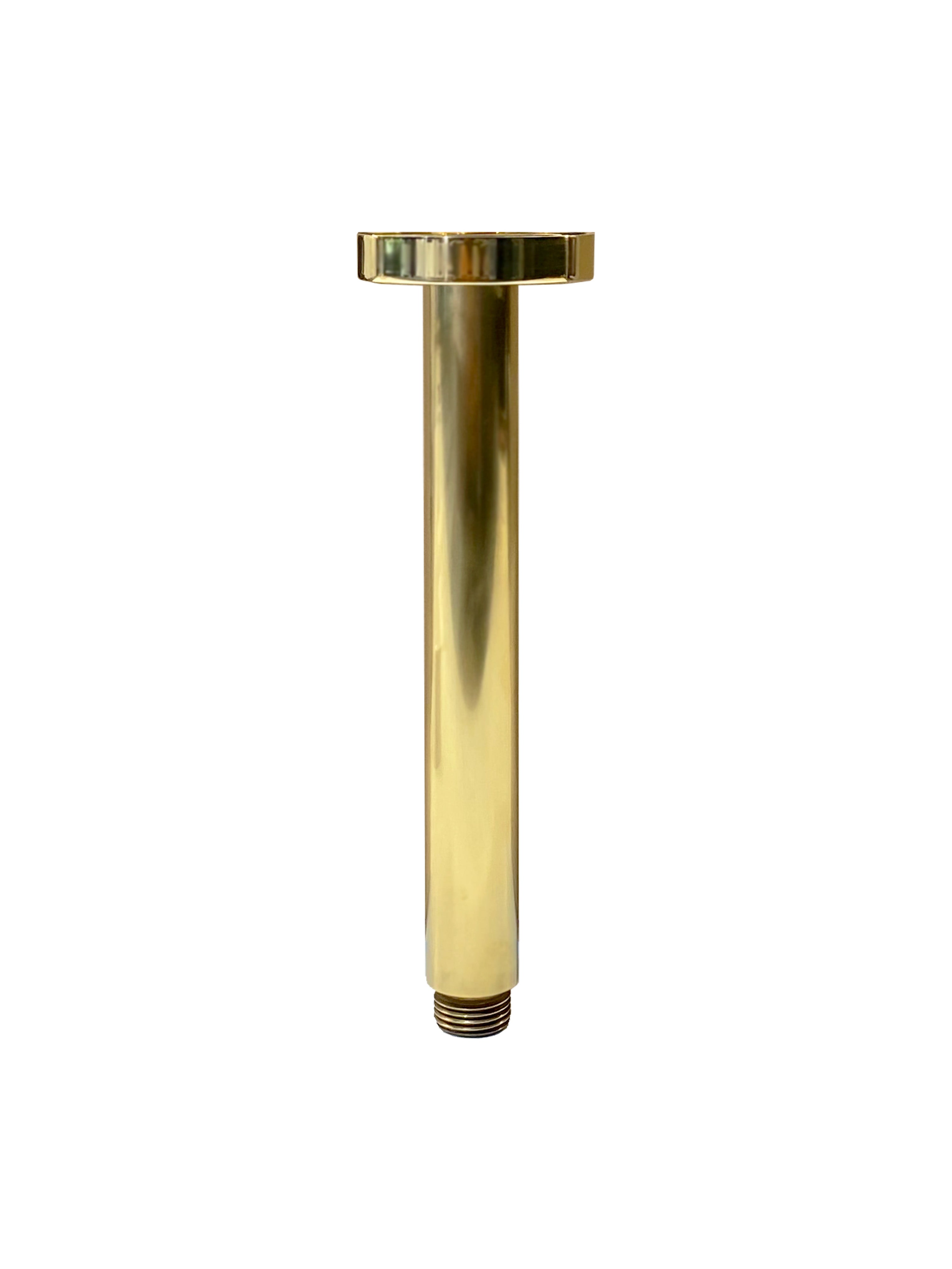 Daintree Ceiling Mounted Shower Arm Round 200mm in Raw Brass