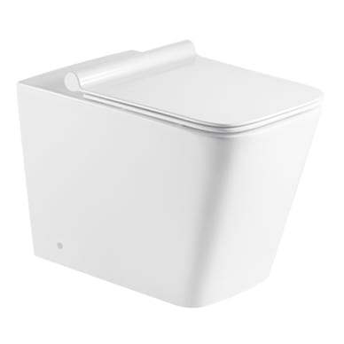 Rigid Eyre Rimless Concealed Cistern Toilet